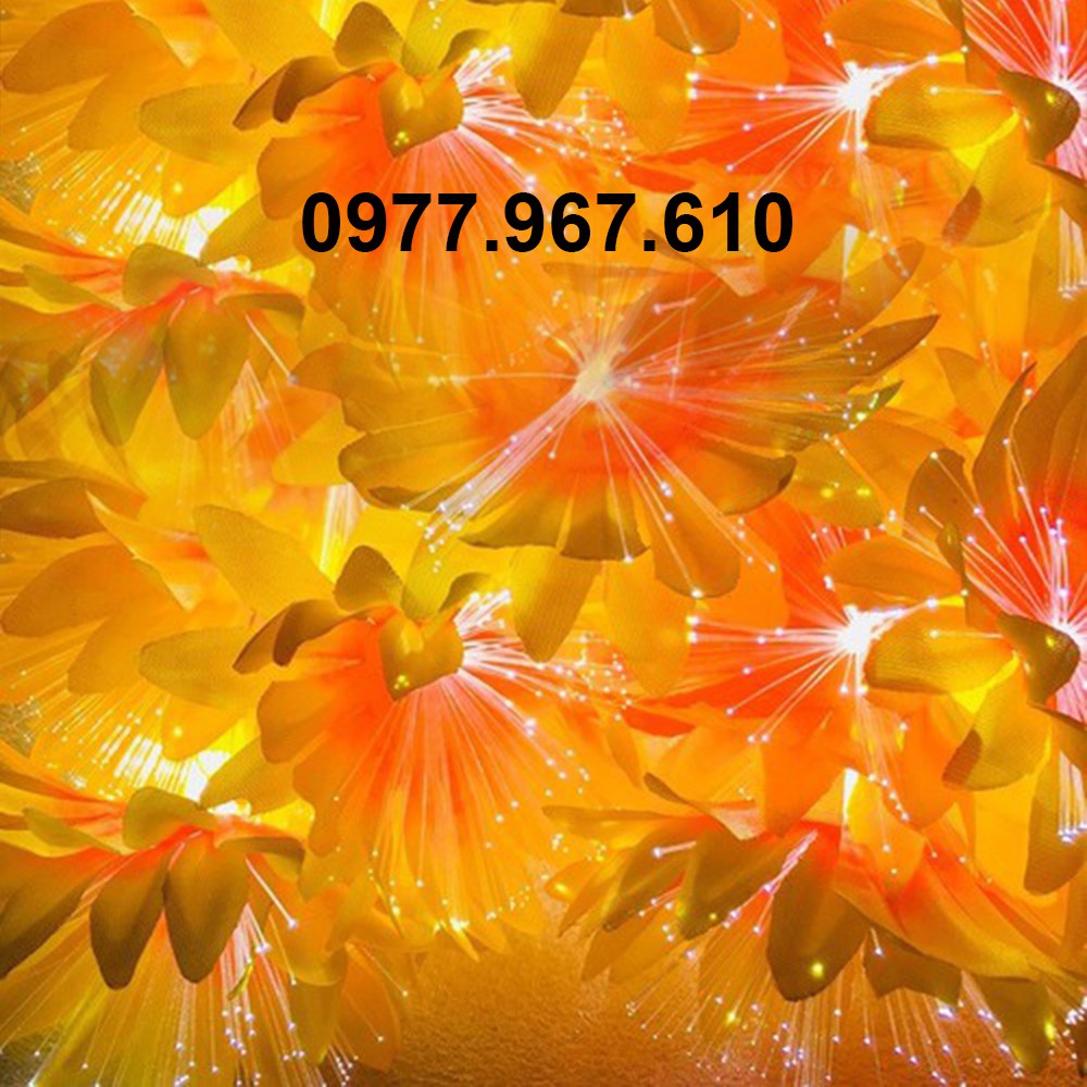 ĐÈN LED BÔNG HOA 5M 20 BÔNG - ĐÈN LED TRANG TRÍ LỄ TẾT, NOEL