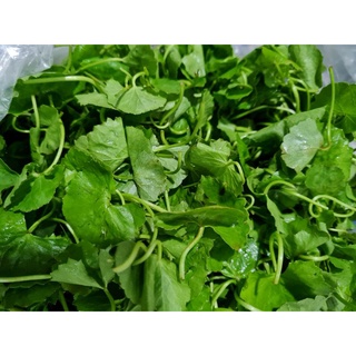 Rau má vườn miền tây - 200g