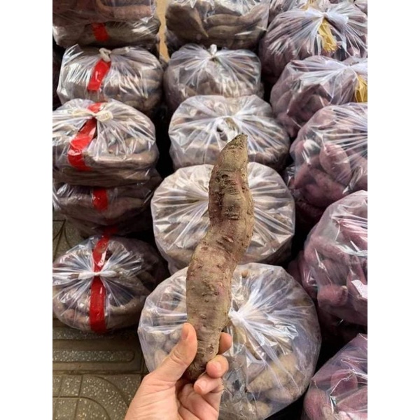 👉 1kg Khoai Lang mật TÀ NUNG