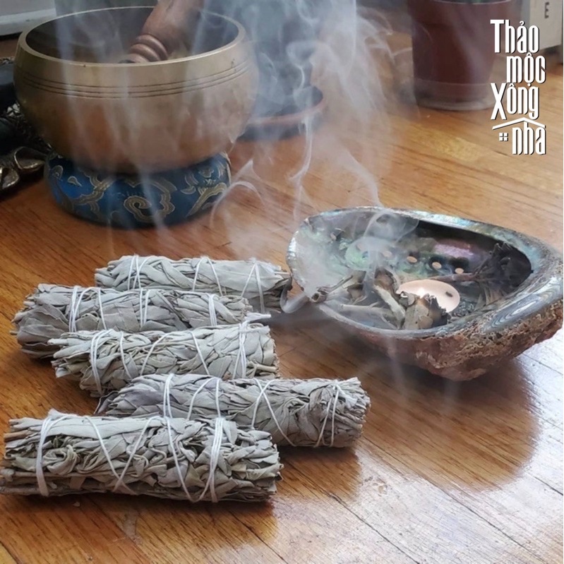 WHITE SAGE XÔ THƠM TRẮNG thanh tẩy cơ bản Size 4icnh THẢO MỘC XÔNG NHÀ