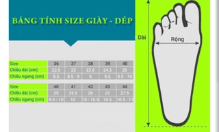 [KÈM HỘP]GIÀY THỂ THAO V NAM NỮ 36-43