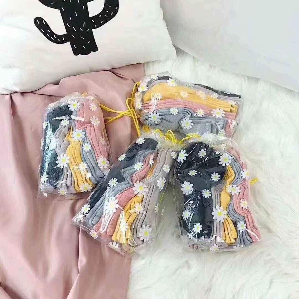 [LOẠI ĐẸP] Tất hoa cúc cổ thấp hot cotton mềm mại chống hôi chân nhiều màu xinh đẹp co giãn 4 chiều loại dày dệt chắc