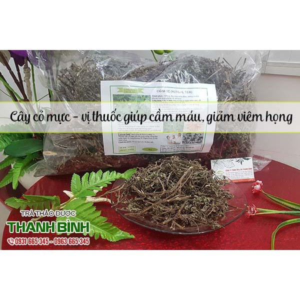 Cây cỏ mực khô / cây nhọ nồi 100Gr - Thảo Dược Thanh Bình - Dược Liệu Thanh Bình