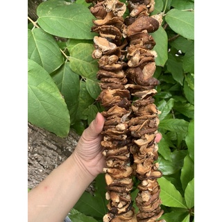 500g nấm hương rừng tây bắc