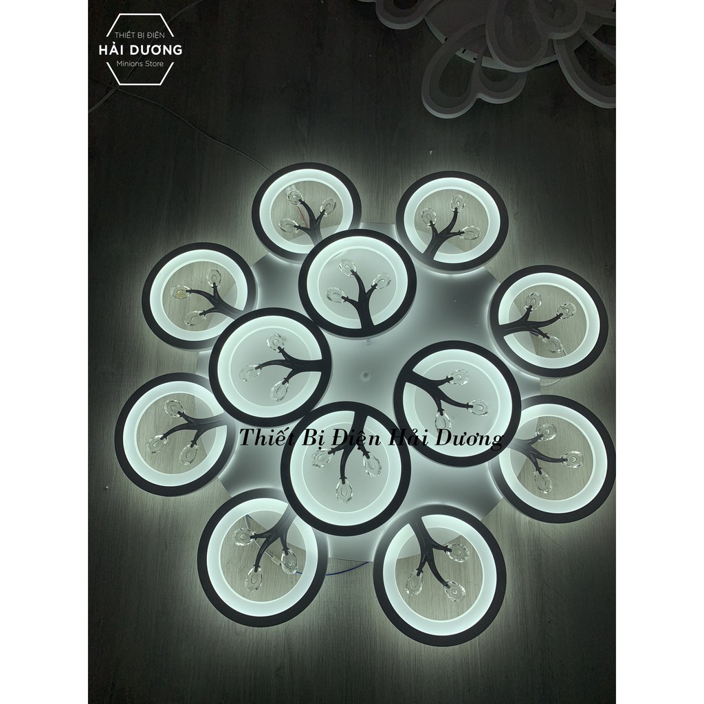Đèn Ốp Trần Hiện Đại Decor 12 Hoa Pha Lê NT031 - 3 Chế Độ Ánh Sáng - Tăng Giảm Ánh Sáng - Hẹn Giờ Ngủ - Điều Khiển Từ Xa