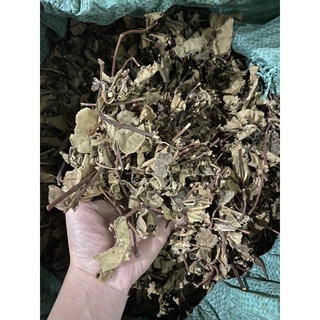 Cây lá hà thủ ô khô nguyên chất_dược liệu chuẩn