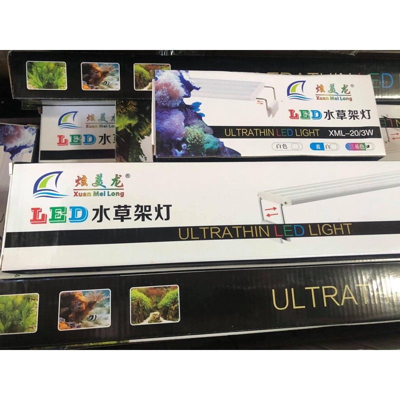 ĐÈN LED XUANMEILONG ĐỔI MÀU ( 3 chế độ )