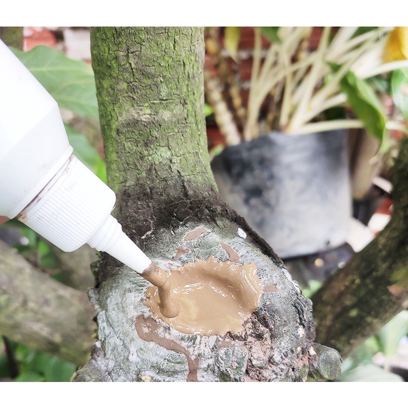 Keo liền da cây Nano Bạc Ag 100gram