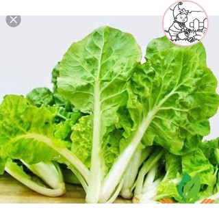 Hạt cải bẹ dún - gói 10 gram