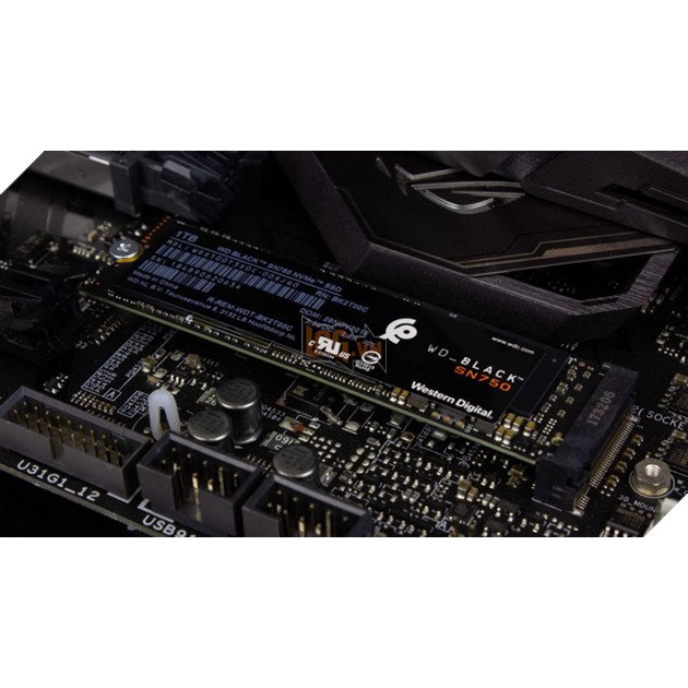 Ổ cứng SSD WD Black SN750 250G/500G/1TB - M2 2280 NVMe PCIe Gen 3 x4 - Bảo hành 5 năm 1 đổi 1 | BigBuy360 - bigbuy360.vn