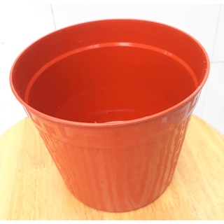 Chậu nhựa vân gỗ trồng phôi cây hoa kiểng siêu bền đẹp