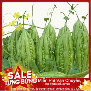 Hạt Giống Mướp Đắng F1 - 10 Hạt