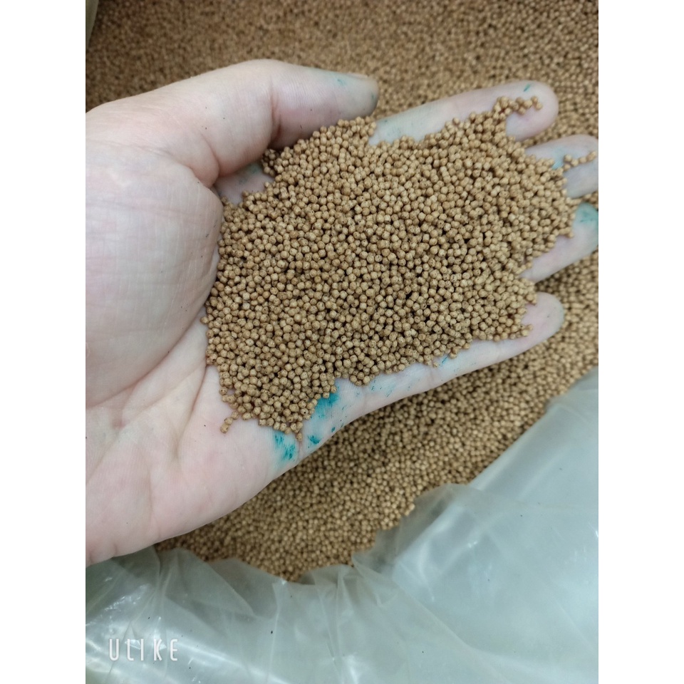 1kg cám cá cảnh  Thức ăn cá Koi, cá vàng , cá giống siêu chuẩn