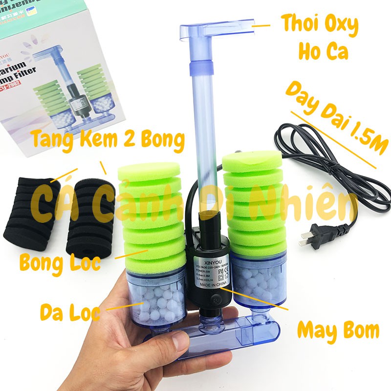 Lọc sủi vi sinh có MÁY BƠM bio bông ĐÔI kèm vật liệu lọc XY2902 xinyou xy-2902