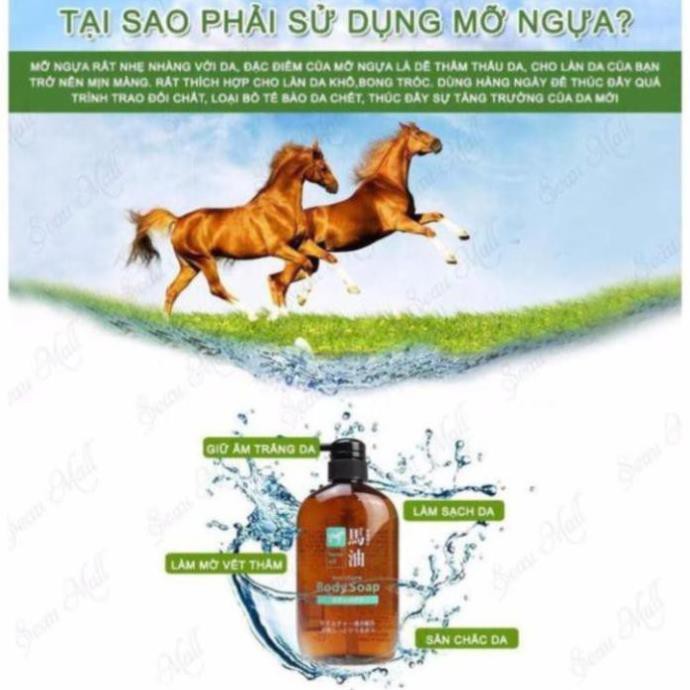 [Hàng Nhật] Sữa Tắm Mỡ Ngựa Nội Địa Nhật Bản KUMANO 600ML | BigBuy360 - bigbuy360.vn