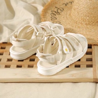 Sandal 3 quai cúc 1 bông