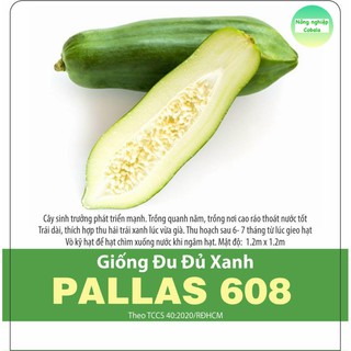 Hạt Giống Đu Đủ Xanh (10 Hạt)