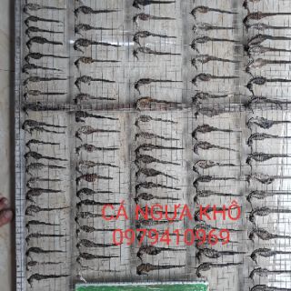 Cá ngựa khô 10 con