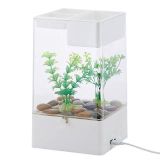 Bể Cá Cảnh Mini Tự Thay Nước Tiện Lợi