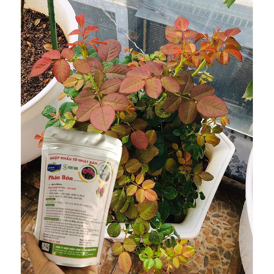 Gói 250g Phân bón hữu cơ của Nhật, phân bón hoa hồng, giúp cây sai hoa bật nhiều mầm chồi