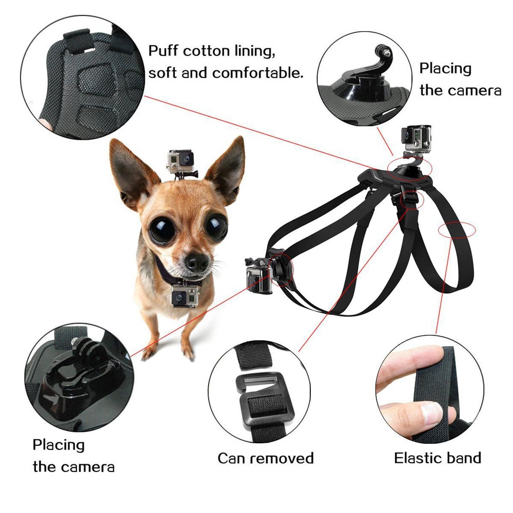 Adjustable Fetch Dog Band Dog harness Animal Pet Chest Belt Strap Mount Holder Stand For Gopro Hero 9 8 7 6 5 Insta360 One X X2 R Action Camera Accessory