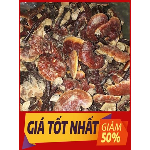 Nấm lim xanh Tây Bắc