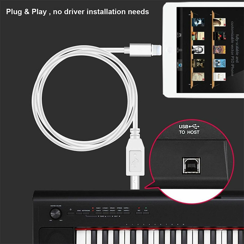 Cáp Kết Nối chân IPSang Usb 2.0 Cho IP7 8 X tablet táo
