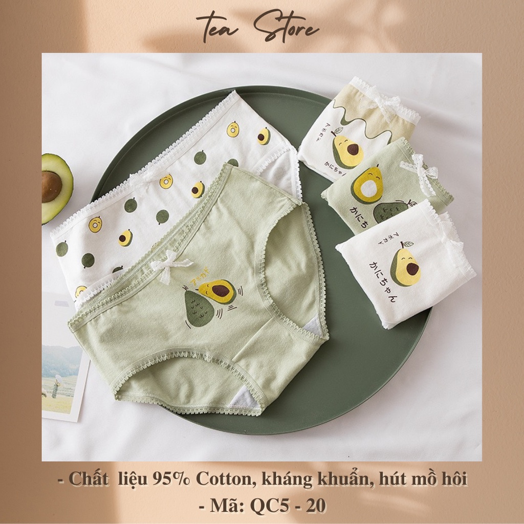 Set quần lót cotton Tea Store họa tiết dễ thương