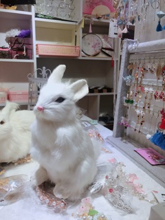 Thỏ bông chụp hình hằng nga