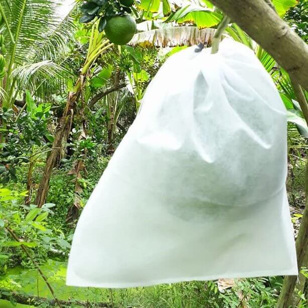 01 Túi Vải Bọc Bưởi 30*35cm