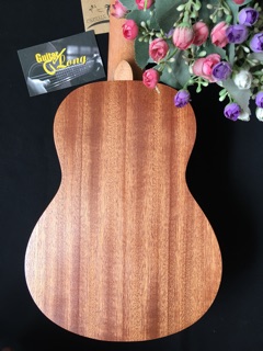 Đàn Ukulele Soprano CV-550 CB2