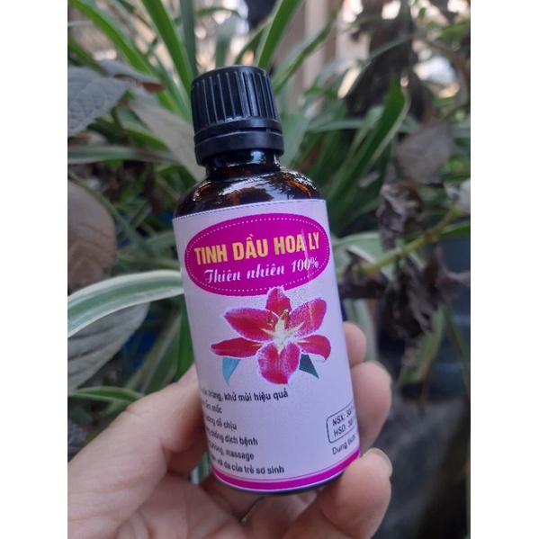 (RẺ VÔ ĐỊCH) Tinh dầu hoa ly, nhài 50ml chuẩn từng giọt xông phòng