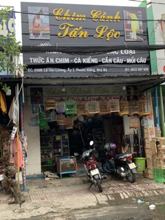keo bẫy chim siêu dính