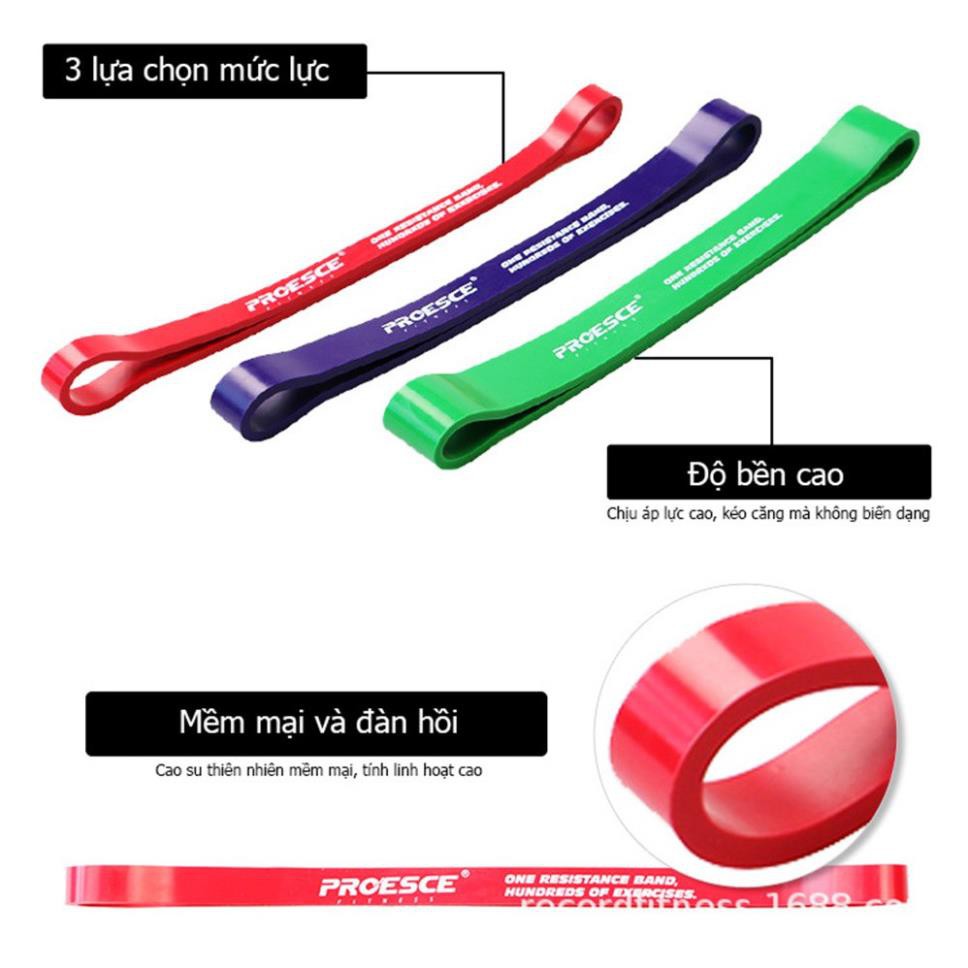 Dây đàn hồi kháng lực Superband - Dây Tập Chân,Mông chính hãng PROESCE