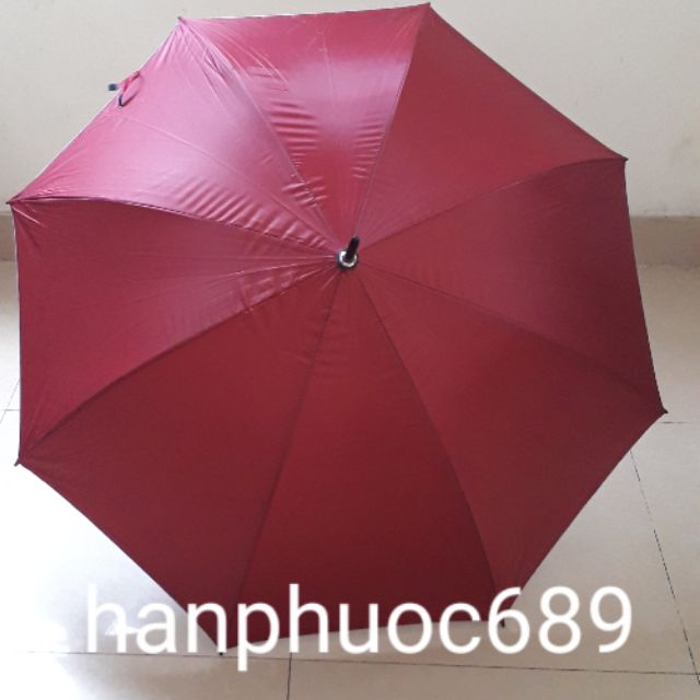 Sỉ Ô dù nan kép to đại ( 2 xương)