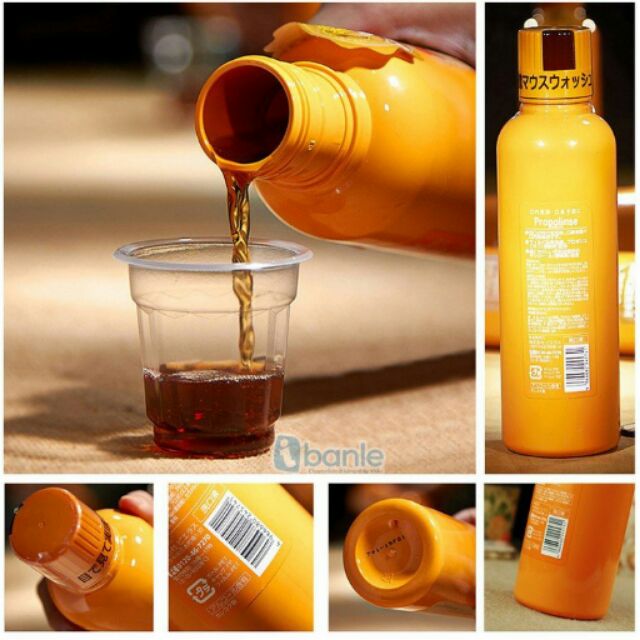 Propolinse - Nước xúc miệng
