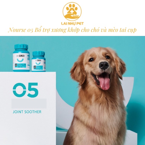 Nourse 05 - viên bổ trợ xương khớp cho chó và mèo tai cụp 160 viên/ 400 viên - LAI NHỰ PET
