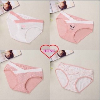 {COMBO 4 QUẦN} QUẦN LÓT BẦU COTTON CO GIÃN 4 CHIỀU