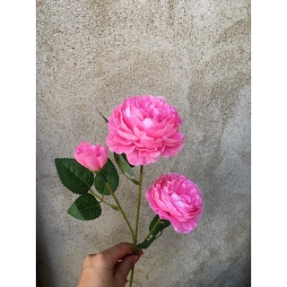 trà 2 bông 1 nụ