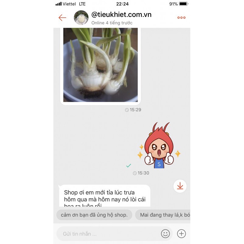 Củ hoa thủy tiên nước
