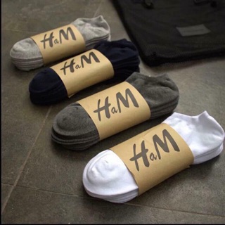 tất nam HM