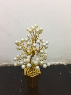 Chậu hoa để thân tài cao 15cm
