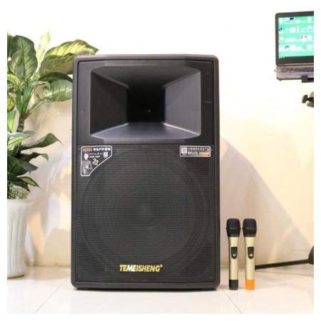 Loa Kéo Di Động Temeisheng 1808 Hàng Chính Hãng, Loa Karaoke Bass 5 tấc công suất lớn + Kèm 2 micro siêu hút âm