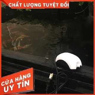 [Hàng chính hãng]Máy sủi Oxy 1 vòi 2,5w,dành cho cá cảnh