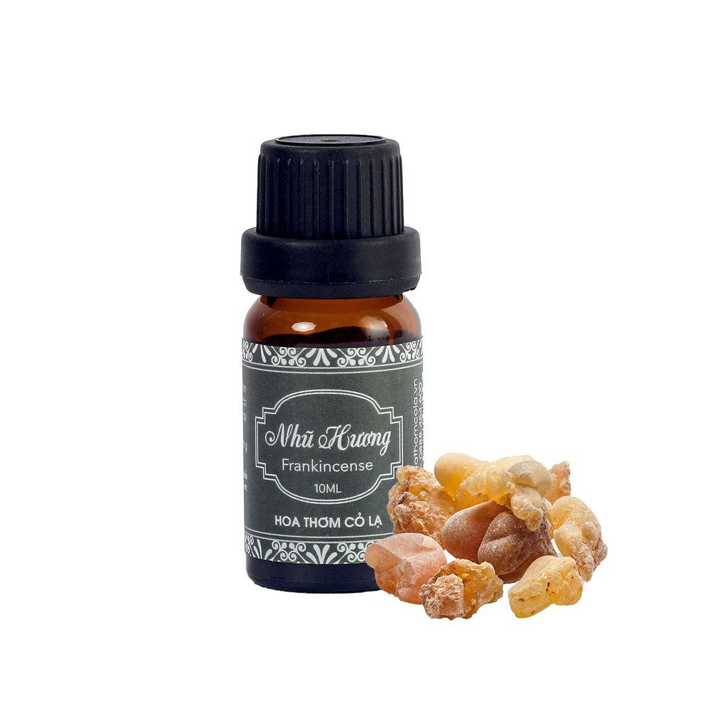 Tinh Dầu Nhũ Hương - Frankincense  Essential Oil - Hoa Thơm Cỏ Lạ