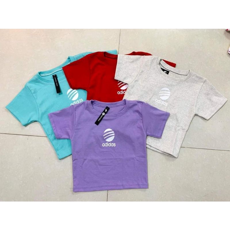 ÁO THUN COTTON 100K 3 ÁO