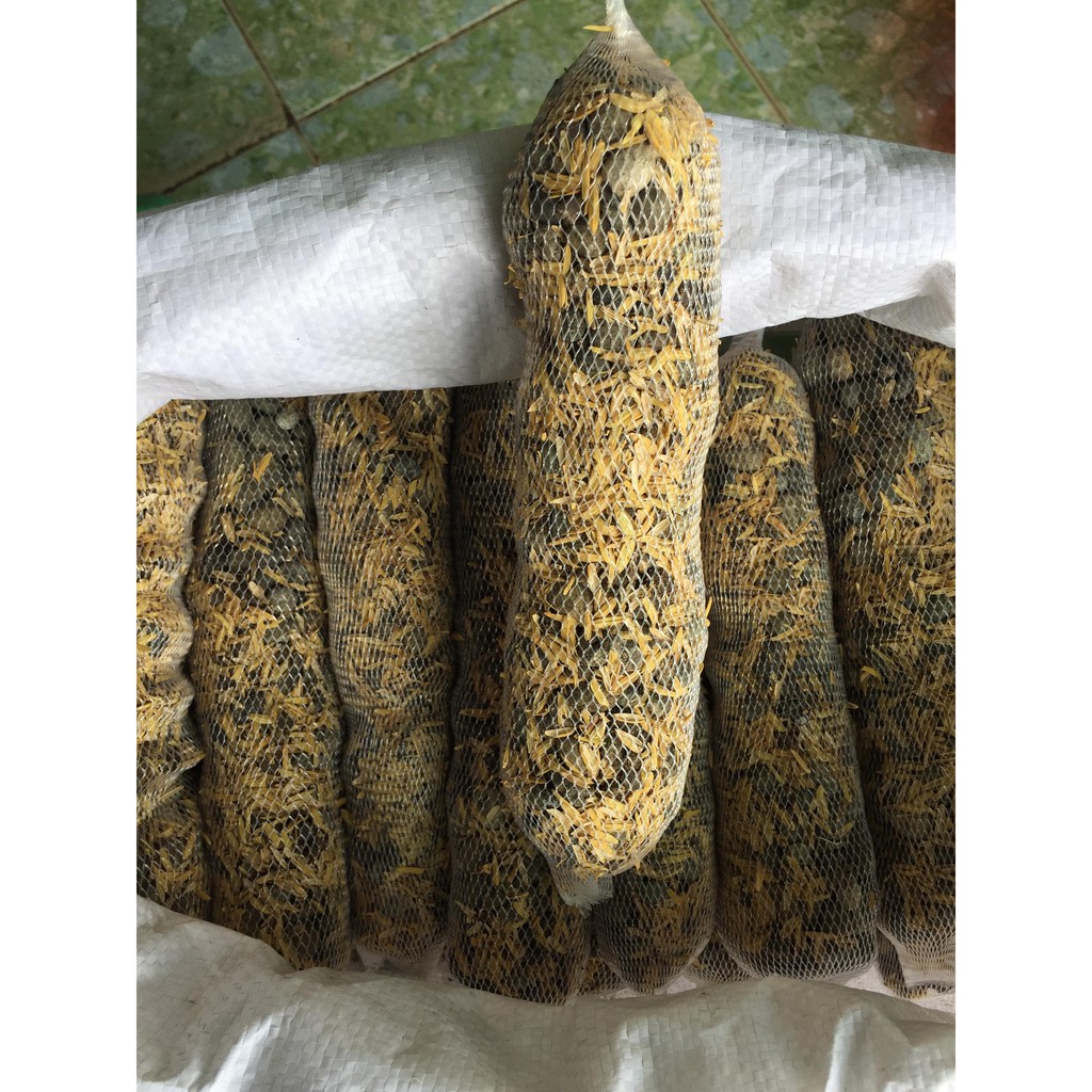 Combo 20 túi phân dê đã ủ nấm trichoderma dài 22 cm kết hợp phân hữu cơ Bỉ và bổ sung thêm vi lượng dùng cho Phong Lan