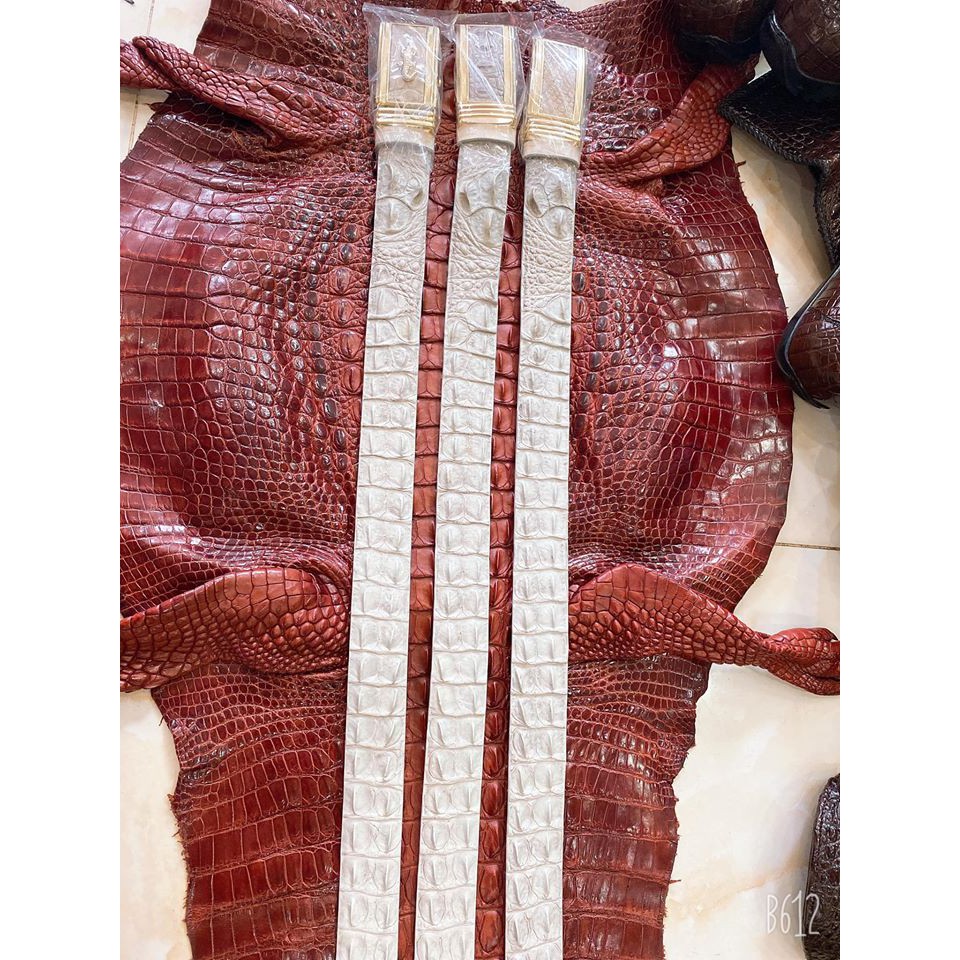 DÂY THẮT LƯNG DA CÁ SẤU THẬT TRẮNG | RYRY STORE