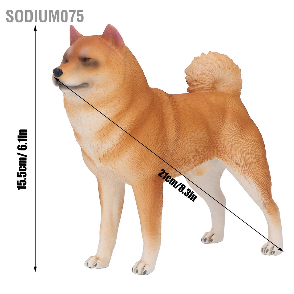 Sodium075 Dog Figurine Sống động như thật Không độc hại Đồ chơi trẻ em Mô hình vật bằng nhựa Trang trí cho Phòng ngủ Nghiên cứu