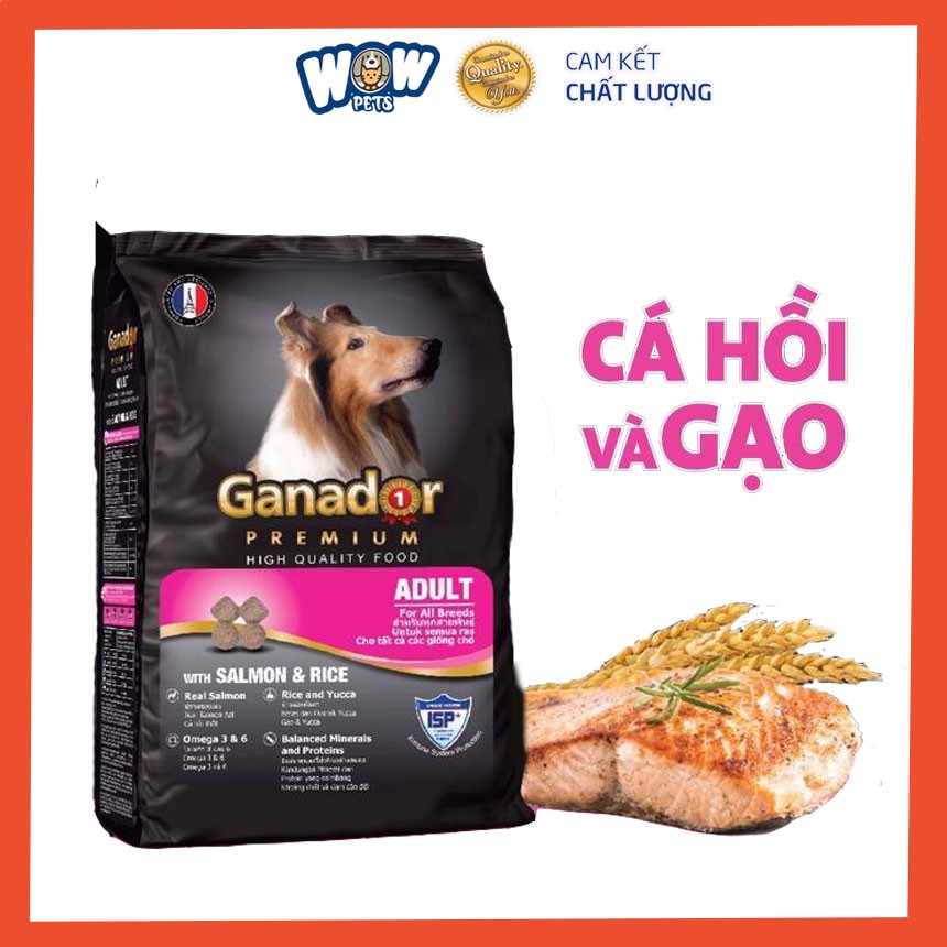 [E011] Thức ăn cho chó lớn Ganador vị cá hồi và gạo 400g, wowpets hạt khô